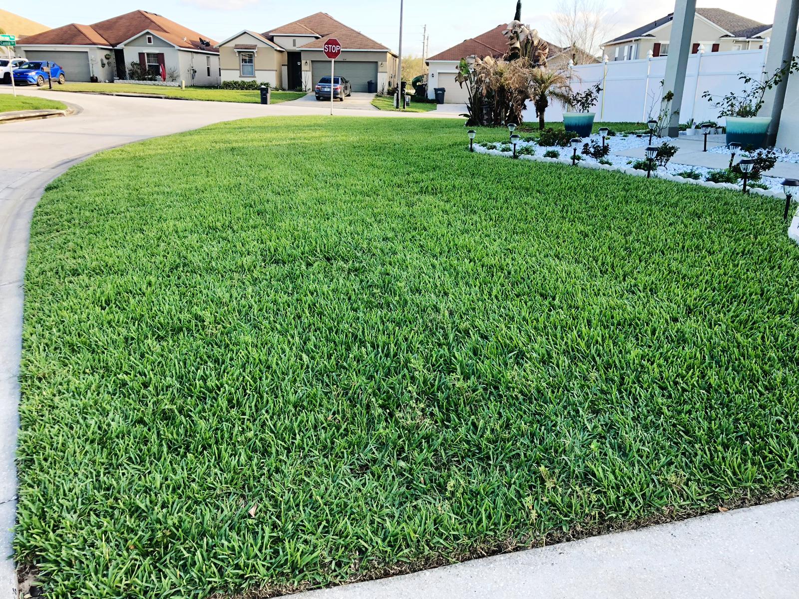 kissimmee lawn service