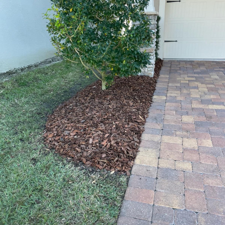 after mulch